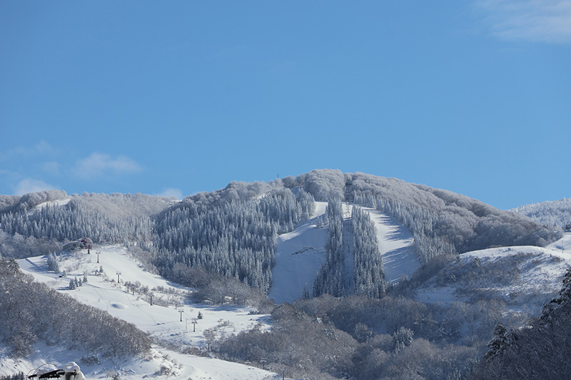 東成瀬村